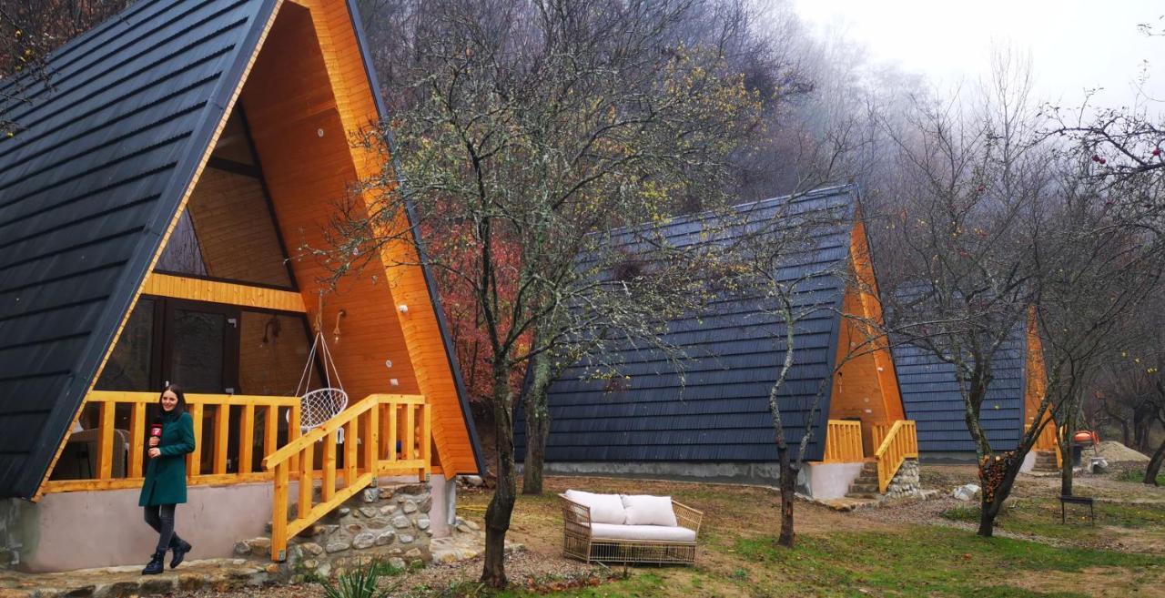 Casa - Cabana Tip A Frame, Cerna, Vaideeni, Valcea Cerna  Exterior foto